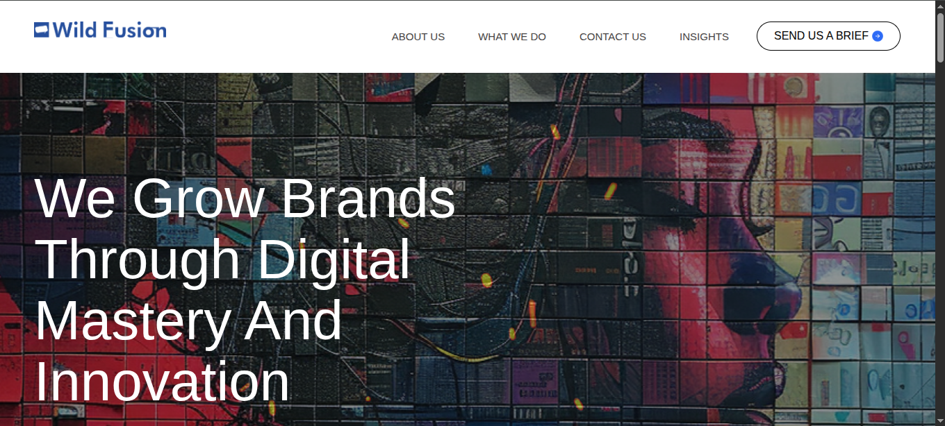 Wild Fusion Website Designer in Nigeria